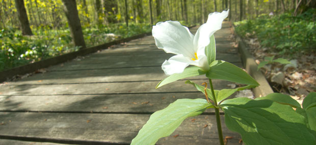 Ross County State Parks