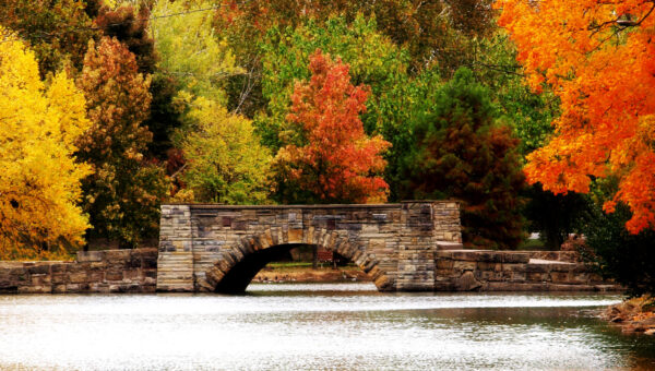 Fall Colors are Peaking