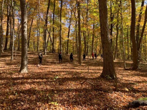 Explorer Yoga | Hike and Bend at Buzzard’s Roost