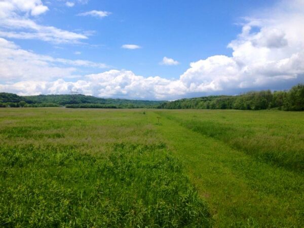 A Walk Through Time at Hopewell Mound Group