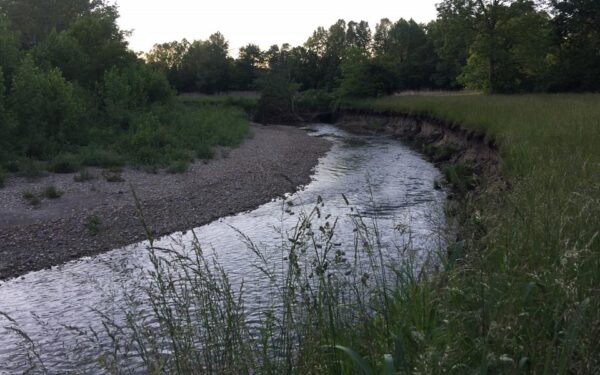 Kinnikinnick Fen Nature Preserve