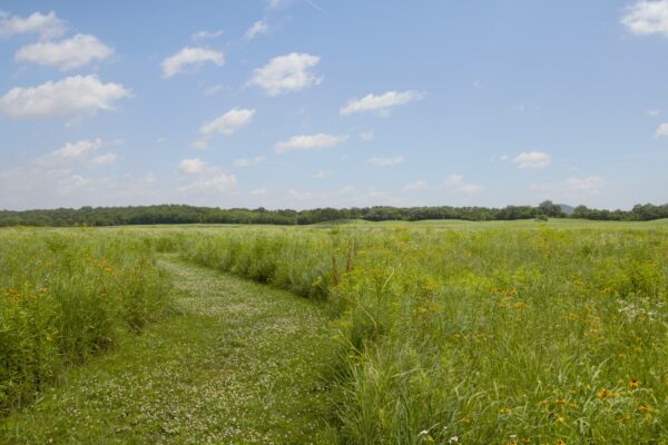 2nd Saturday Archeology Walking Tour at Hopeton Earthworks