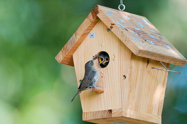 Children’s Birdhouse Decorating