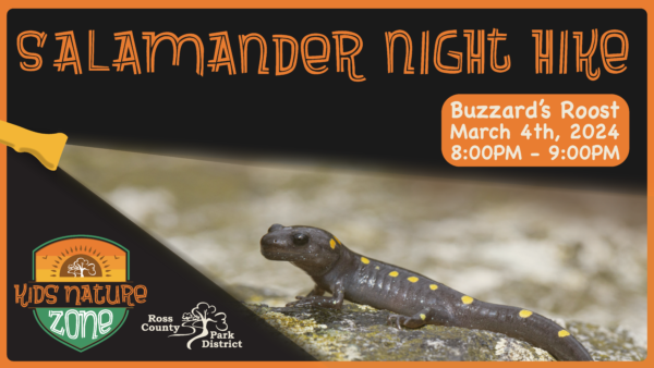 SALAMANDER NIGHT HIKE