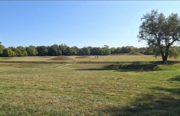 Family Night at the Park!