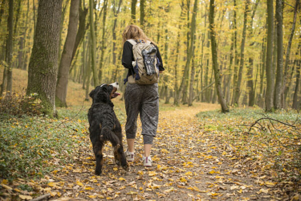 Hiking in the Fall: Discover the Beauty of Ross County and Chillicothe, Ohio