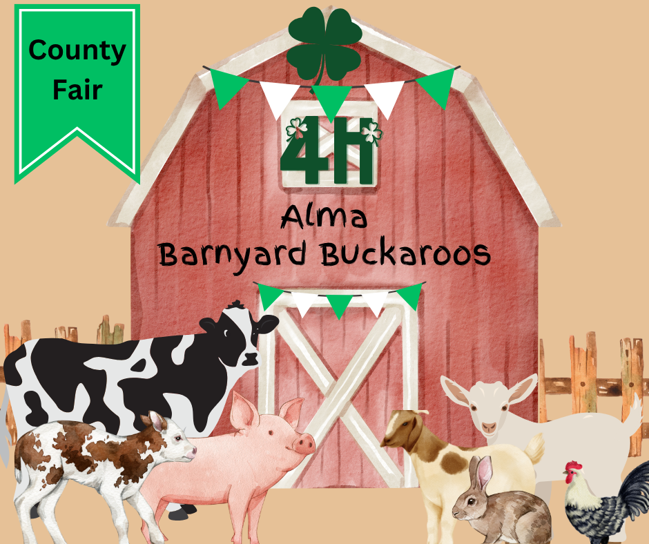 Boots, Bobbins & Barnyard Buckaroos: Growing Up Country at the County Fair