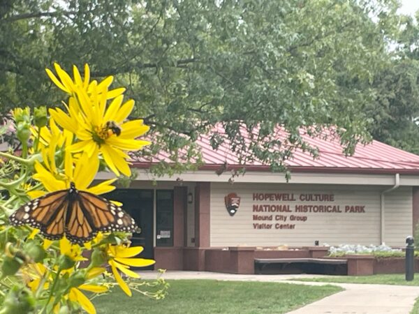 Monarch Tagging at Hopeton Earthworks