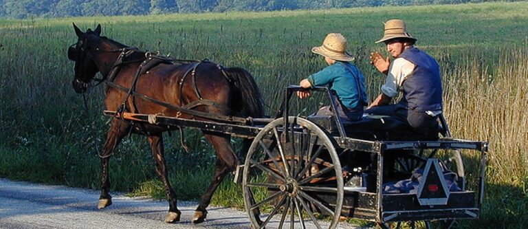 Two Amish people riding a horse and buggy.